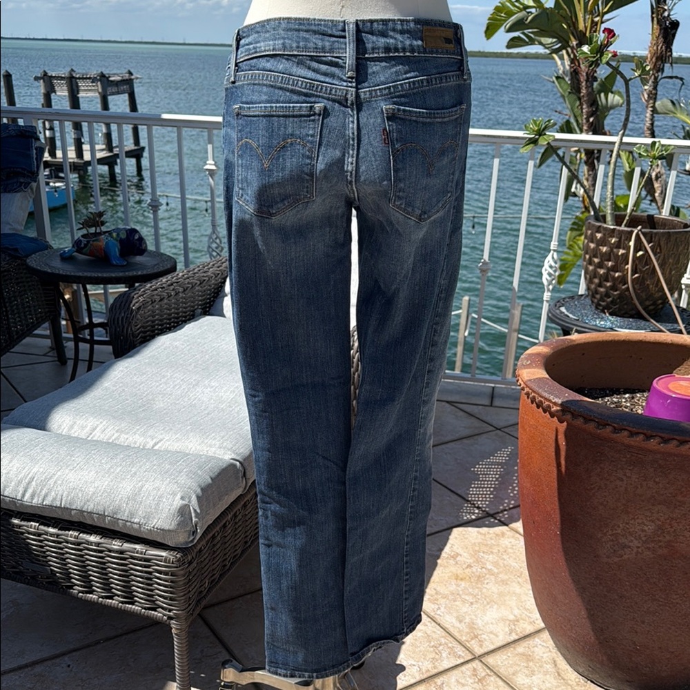 Levi Classic Blue Denim Jeans